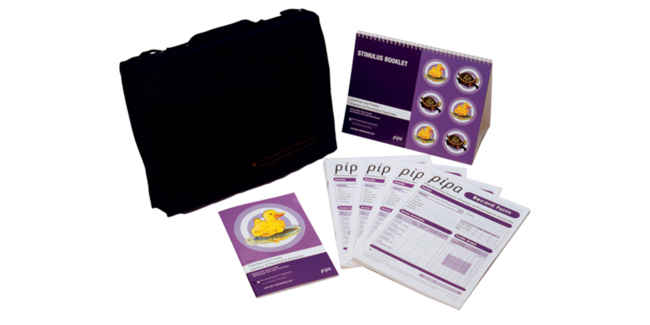 Preschool and Primary Inventory of Phonological Awareness